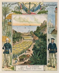 Cover for a School Exercise Book Depicting a Sugarcane Plantation in Guadeloupe by French School