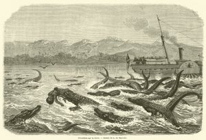 Crocodiles on the Chire by French School
