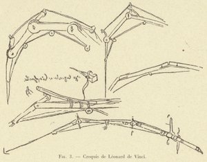 Sketches by Leonardo da Vinci by French School