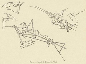 Sketches by Leonardo da Vinci by French School
