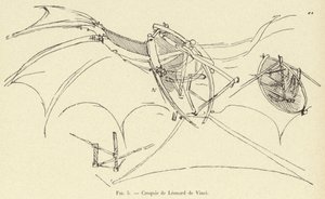 Sketches by Leonardo da Vinci by French School