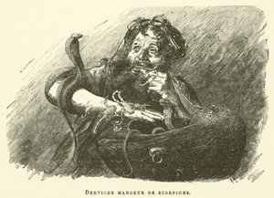 Dervish Scorpion Eater (engraving) by French School