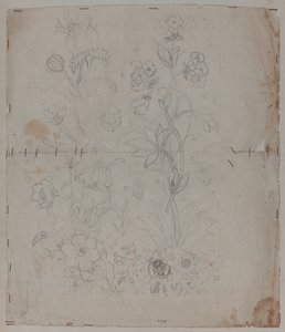 Design Drawing by French School