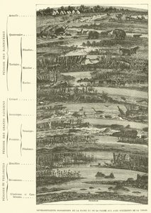 Progressive Developments of Flora and Fauna in the Successive Ages of the Earth by French School