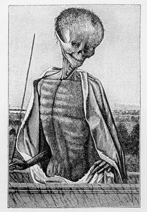 Doctor Death, from a Book of Hours, illustration from Science and Literature in the Middle Ages and the Renaissance, written and engraved by Paul Lacroix, 1878 by French School