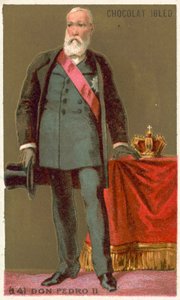 Don Pedro II, Emperor of Brazil by French School