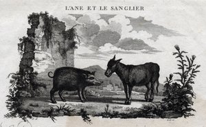 Donkey and Boar. Fable of Aesop. Written by Guillaume Montfort and engraved by Beauble in 1801.