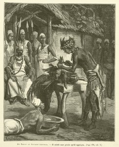 From the Niger to Central Sudan by French School
