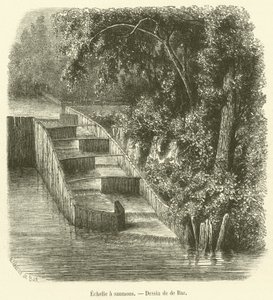Salmon ladder by French School