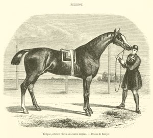 Eclipse, Famous English Racehorse by French School