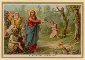 Episode in Life of Jesus Christ