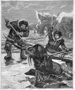 Eskimos - Walrus Fishing in 1888 - Engraving in 