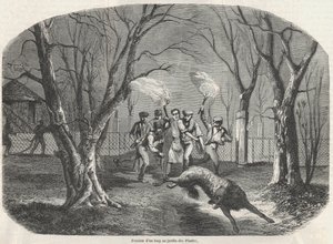 Evasion of a wolf at the Jardin des Plantes in Paris - Engraving in 