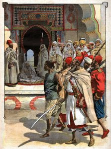 Execution of the Rogui