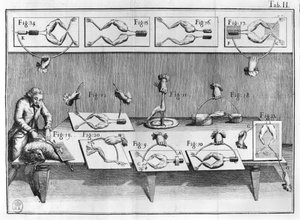Experiment on frogs, illustration from De viribus electricitatis in motu muscumari