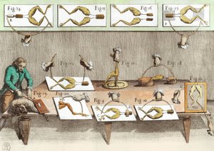 Experiment on frogs, illustration from De viribus electricitatis in motu muscumari by French School