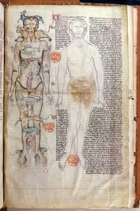 The Relationship between the Human Body and the Signs of the Zodiac, from a medical treatise by Abul Qasim Khalaf ibn al-Abbas al-Zahrawi (Abulcasis) translated by Gerard de Cremone by French School