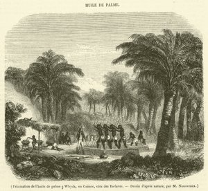 Palm Oil Production in Whydah, Guinea, Slave Coast (engraving) by French School