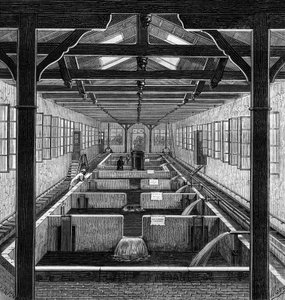 Fish farming: the farmed pools of fry in Huningue, Haut Rhin by French School