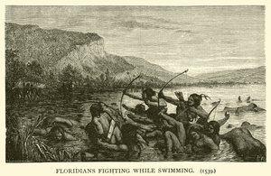Floridians fighting while swimming by French School