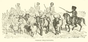 French Requisitions by French School