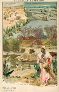 French Sudan by French School