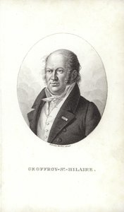 Geoffroy Saint-Hilaire by French School