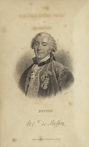 Georges-Louis Leclerc, Comte de Buffon by French School