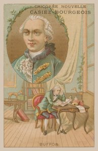 Georges-Louis Leclerc, Comte de Buffon, 18th Century French Scientist and Writer by French School