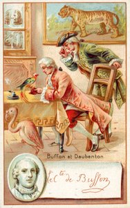 Georges-Louis Leclerc, Comte de Buffon, and Louis-Jean-Marie Daubenton, French naturalists
