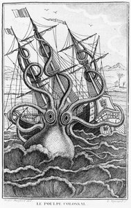 Giant Octopus, illustration from L