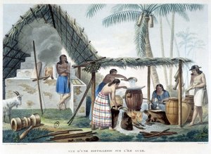 Guam Island Distillery by French School