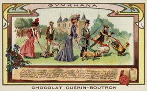 Gymkhana by French School
