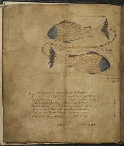 Illustration of the Constellation Pisces, from 