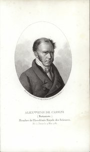 Henri Cassini