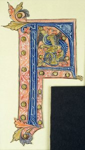 Historiated initial P depicting a winged griffin