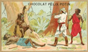 Hunting orangutan by French School