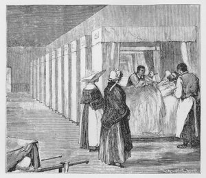 Illustration for The Assommoir, A Realistic Novel, by Emile Zola