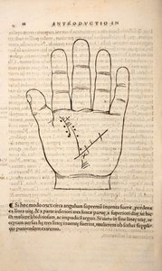 Illustration from Chiromantia by Joannes Indagioe, Strasbourg, 1531 by French School