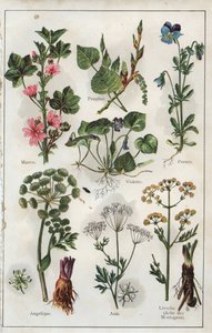 Illustration from 