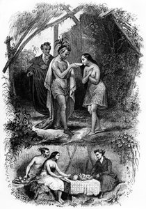 Illustration of Novel 