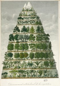Illustration of the differing types of vegetation at different altitudes