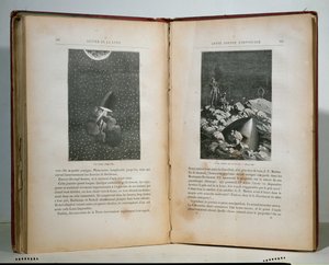 Illustrations from Round the Moon by Jules Verne
