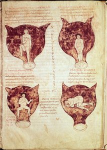 Illustrations of the Foetus, from the So-Called Rhodion Manuscript