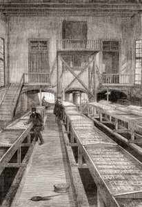 Interior of a 19th century fish farm in Huningue, France, from Les Merveilles de la Science, published c.1870 by French School