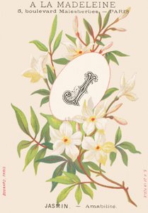 Jasmine — Amabilite