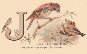 Young Jays Pretty are Players and Happy Jolily! by French School