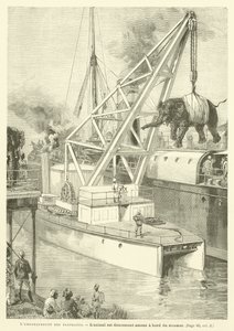 The Embarkation of the Elephants by French School