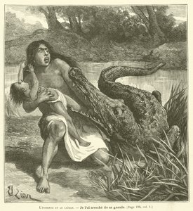 The Indian Woman and the Caiman by French School