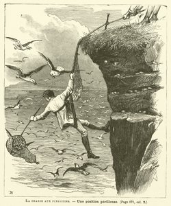 Penguin Hunting by French School